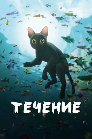 Поток / Течение