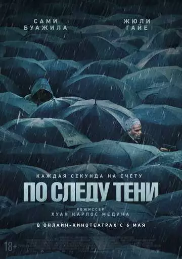 По следу тени